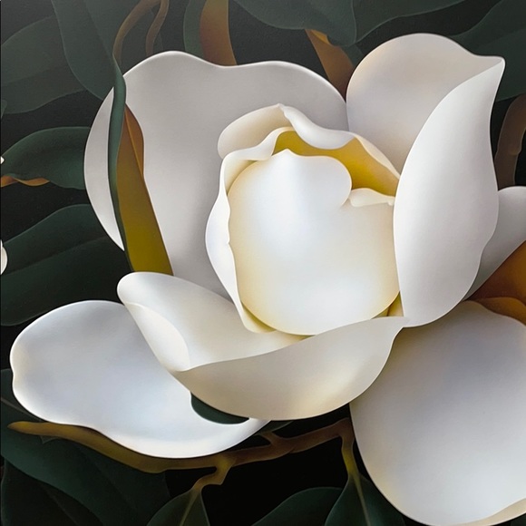 Meet your Posher, Suzanne - Picture 1 of 1